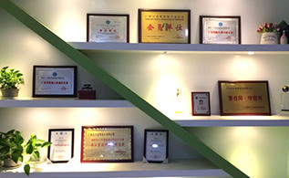 2121�Ƿ�����ǽչʾ