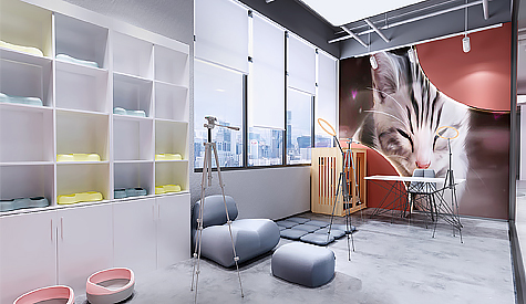 ��������ܷ������Ʒװ�����