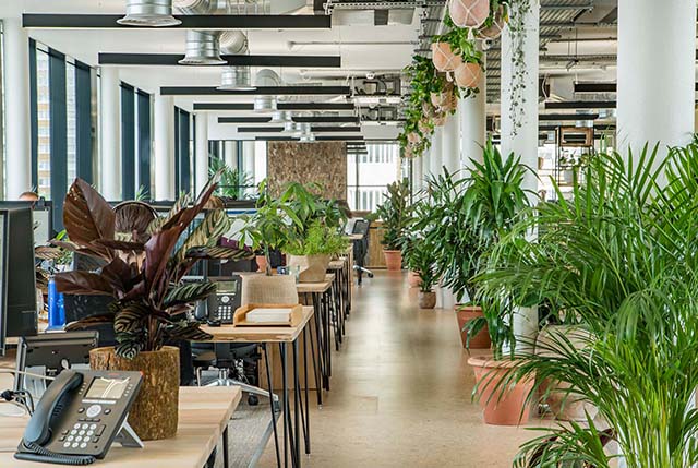 ����װ����ƹ�˾