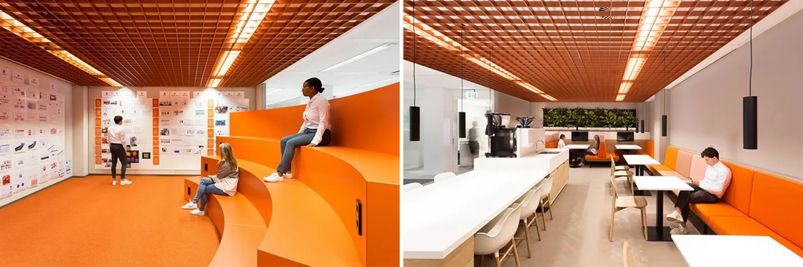 �칫����װ�����