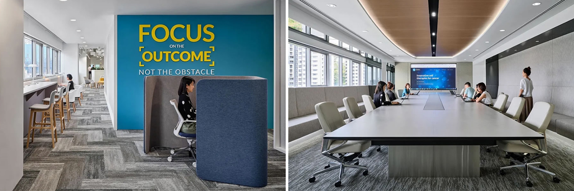 ����2121�Ƿ�װ����ƹ�˾ͼ��