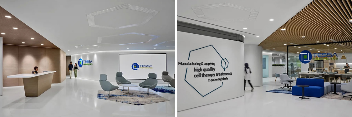 ����2121�Ƿ�װ����ƹ�˾ͼ��