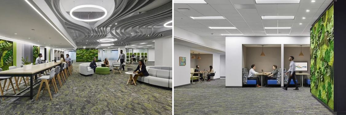 ����װ����ƹ�˾